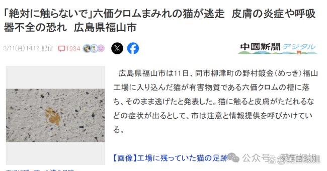 日本一猫咪误入化工池沾满致癌物后逃离，“毒