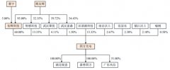  四方光电业绩过山车现金流弱 