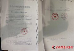 青岛远洋万和城业主：“我家间隔高架桥只有30米”