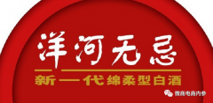 “成为CEO一年赚一辆奥迪很容易”洋河无忌运营公司因涉传遭到重