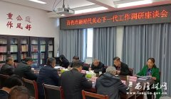 百色市新时代体贴下一代调研组到我县调研