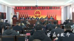 鲁垛镇召开第十八届人民代表大会第一次集会会议