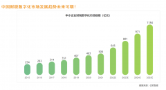 财税数字化创业新风口，票点点机关全国，落地帮扶相助同伴共赢成长