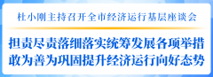  杜小刚主持召开全市经济运行下层座谈会：担责尽责落细落实统筹成长各项办