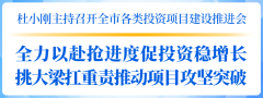  杜小刚主持召开全市种种投资项目建树推进会：尽心尽力抢进度促投资稳增长