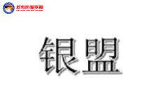 银盟同城：奖金制度包括原始股，国瀛团体只是在新四板挂牌并非上市？